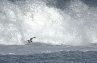 Jugando con las olas