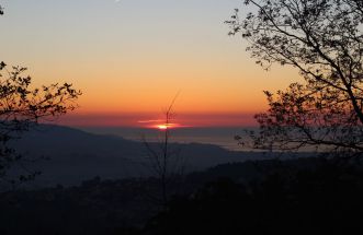 Vigo (85)