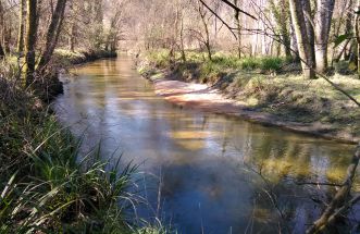 RIO LOURO, PORRIÑO,PONTEVEDRA.