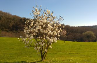 Llego la primavera