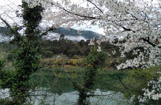 Primavera a orillas del Sil