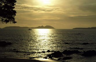 Bajo la luz dorada