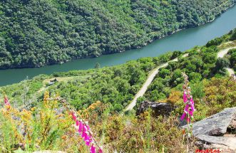 mirador da capela