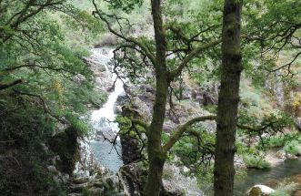 Fervenza de Liñares 