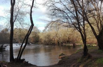 paisajes del  TAMBRE