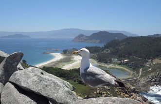 islas cies