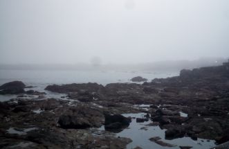 Manta de niebla