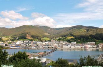 VIVEIRO