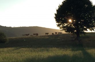 ATARDECER EN BALEIRA