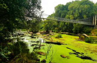 El puente colgante maravilloso