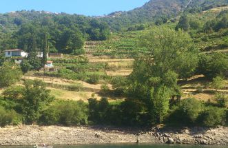 Ribeira Sacra