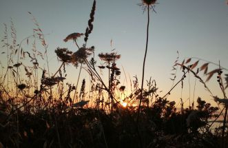 Luces e sombras