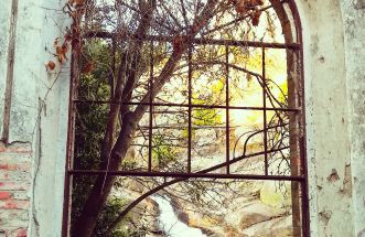 Ventanas a la naturaleza. 