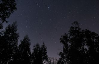 Noite