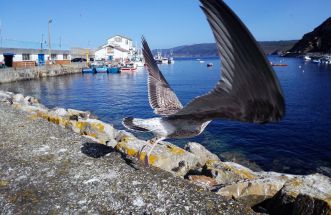 Despegando en Malpica