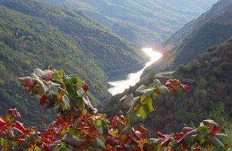 miradores de la ribeira sacra