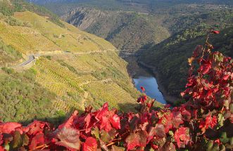 miradores de la ribeira sacra