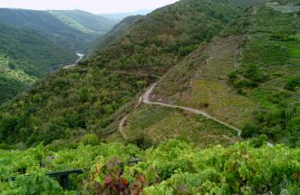 Ribeira Sacra. 