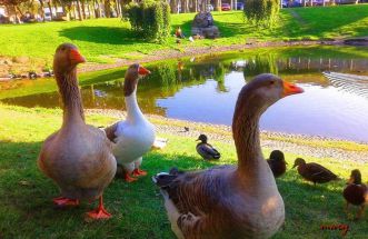 parque de los condes