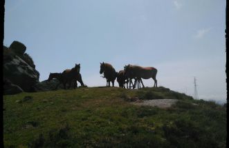 Serra do xistral