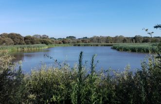 Lagoa de Cospeito (Lugo)