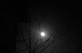 Noche de luna
