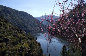 Xa é primavera na Ribeira Sacra