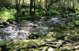 Río prexigueiro...Ribadavia