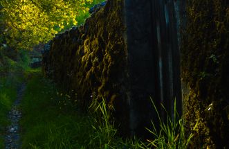 Sendeiros outonales da Ribeira Sacra