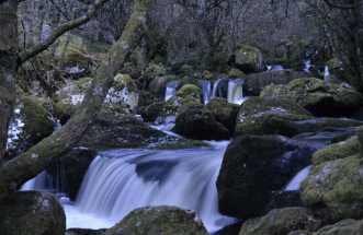 Ruta da fervenza na forxa